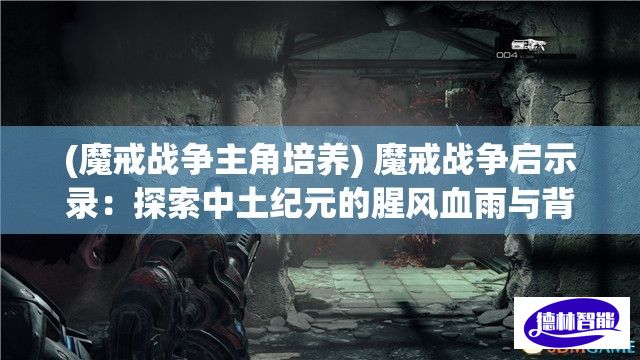 (魔戒战争主角培养) 魔戒战争启示录：探索中土纪元的腥风血雨与背后的意识形态角逐